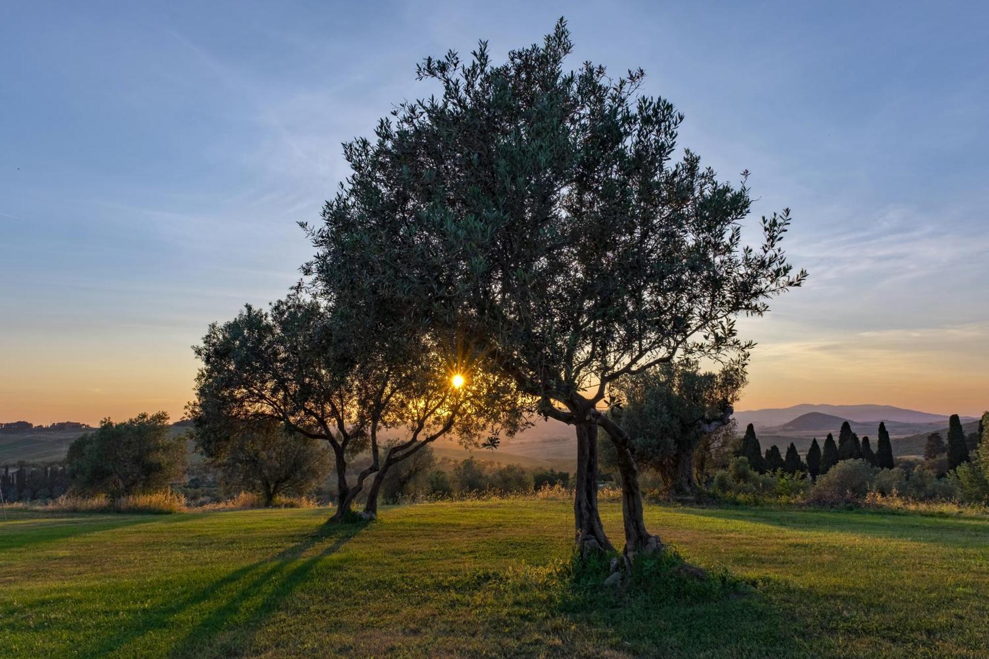 La Marrana - Castello Del Terriccio Βίλα Castellina Marittima Εξωτερικό φωτογραφία